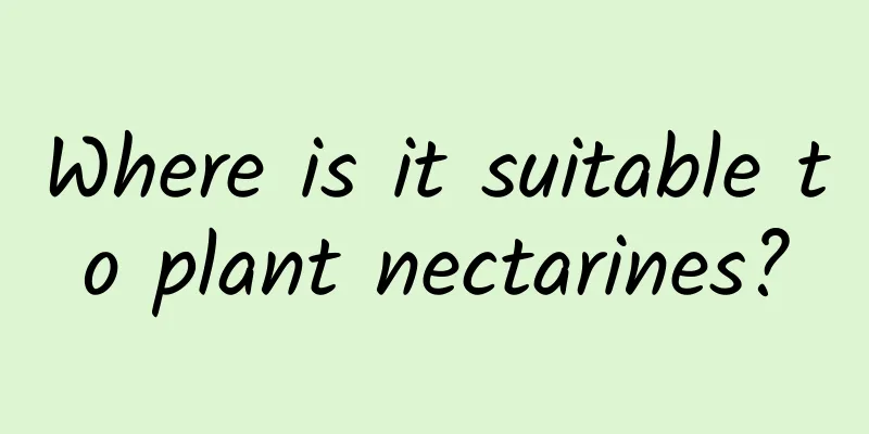 Where is it suitable to plant nectarines?
