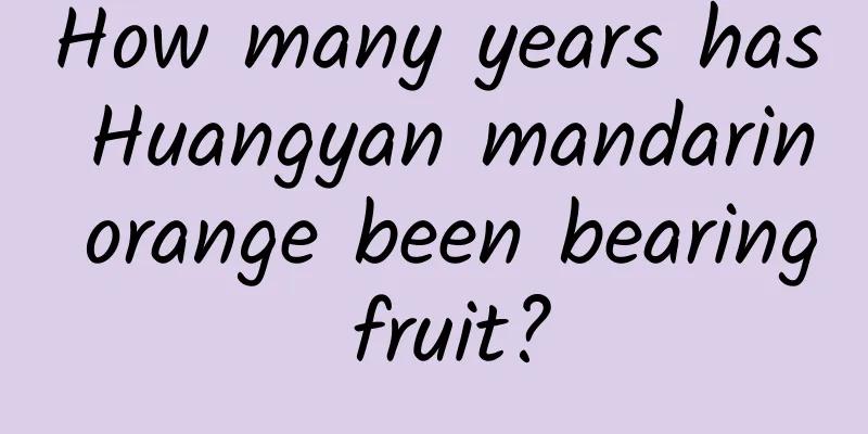 How many years has Huangyan mandarin orange been bearing fruit?