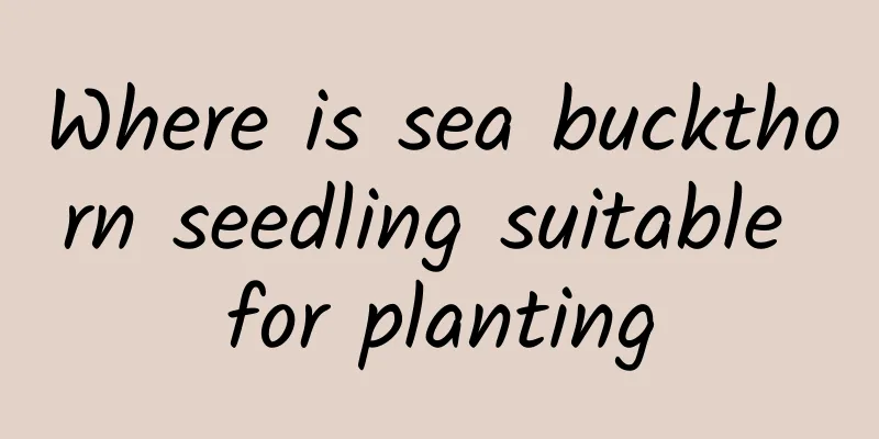 Where is sea buckthorn seedling suitable for planting