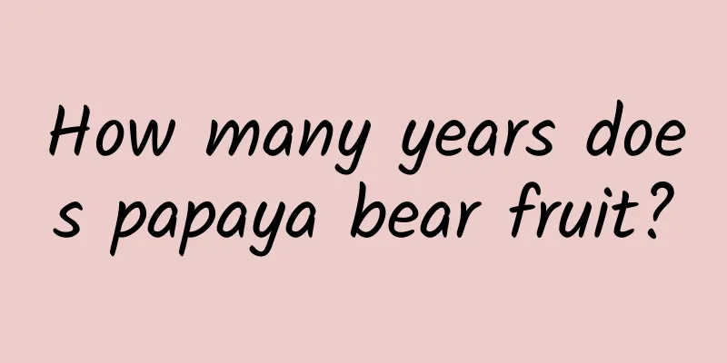 How many years does papaya bear fruit?