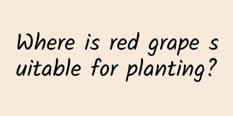 Where is red grape suitable for planting?