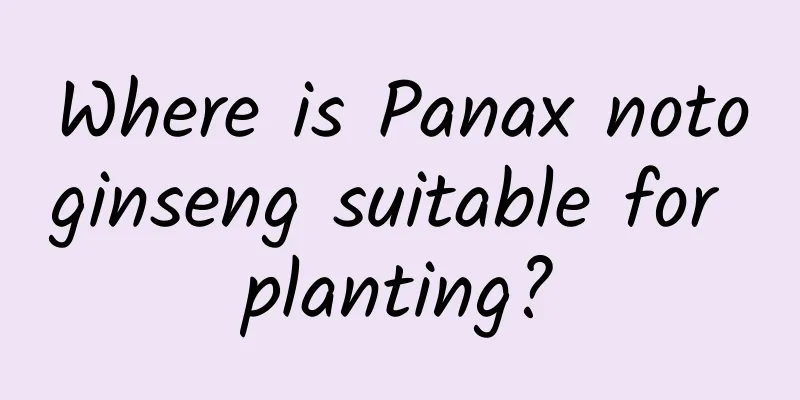 Where is Panax notoginseng suitable for planting?