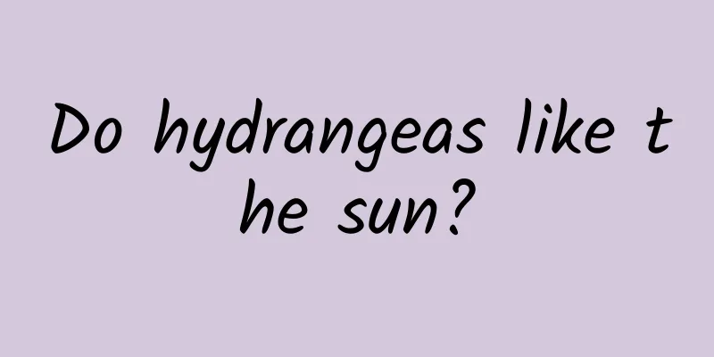 Do hydrangeas like the sun?