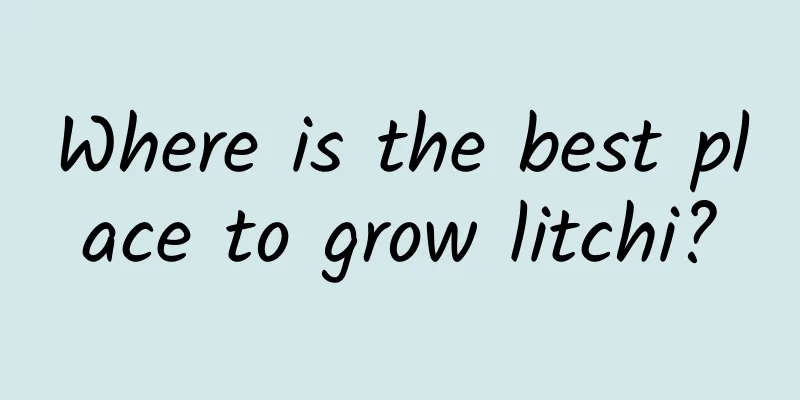 Where is the best place to grow litchi?
