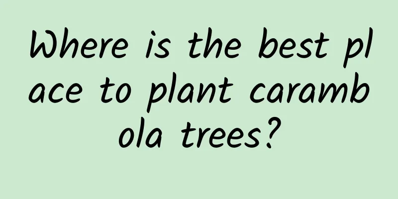 Where is the best place to plant carambola trees?