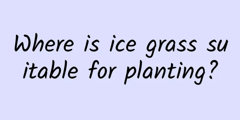 Where is ice grass suitable for planting?