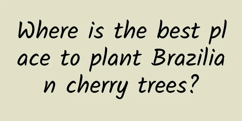 Where is the best place to plant Brazilian cherry trees?