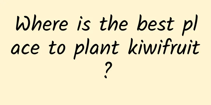 Where is the best place to plant kiwifruit?