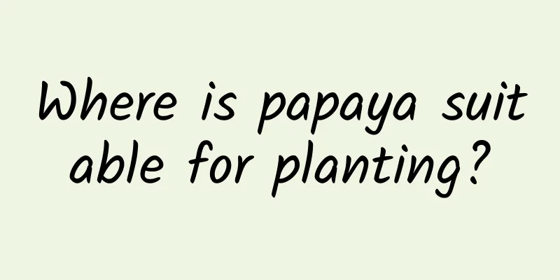 Where is papaya suitable for planting?