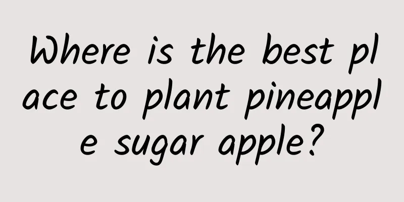 Where is the best place to plant pineapple sugar apple?