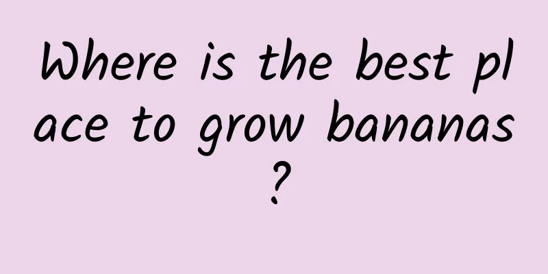 Where is the best place to grow bananas?