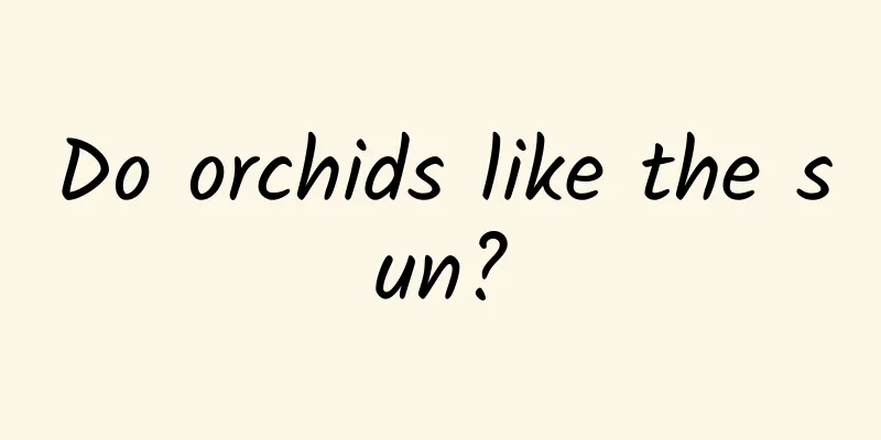Do orchids like the sun?