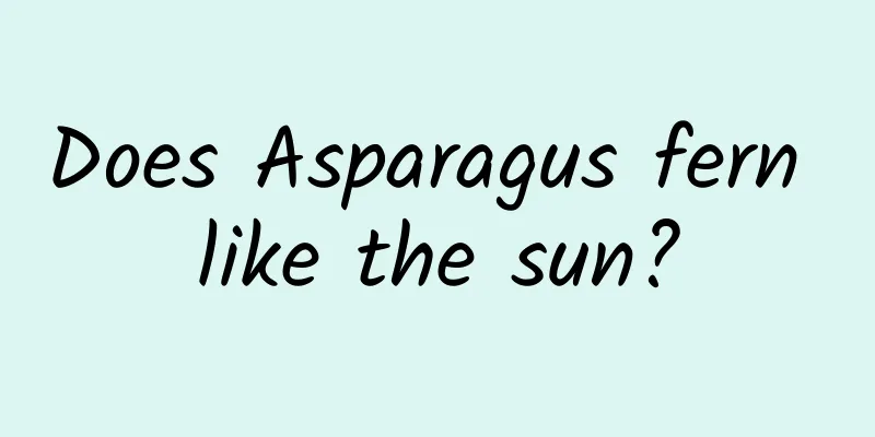 Does Asparagus fern like the sun?