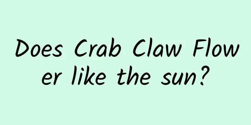 Does Crab Claw Flower like the sun?