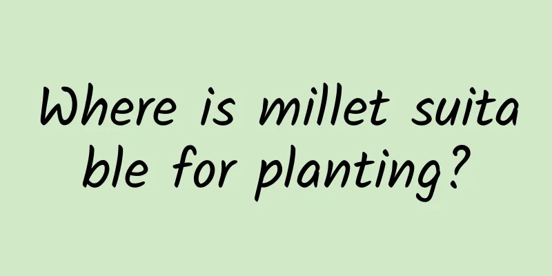 Where is millet suitable for planting?