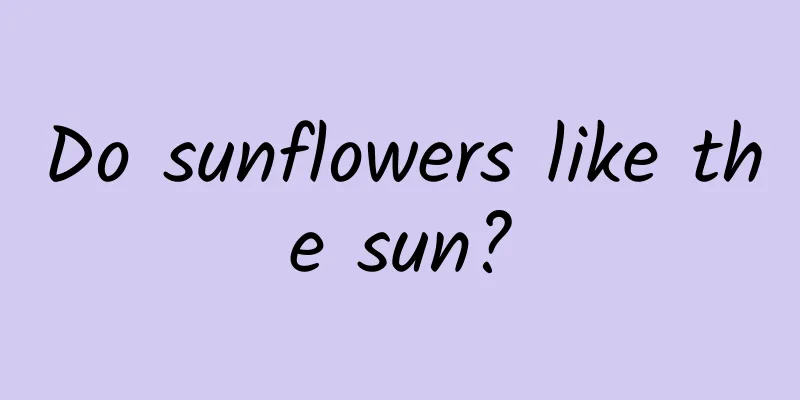 Do sunflowers like the sun?