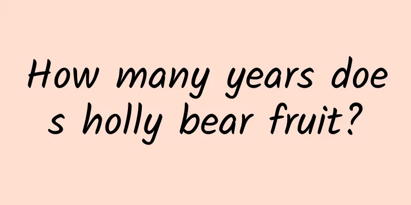 How many years does holly bear fruit?