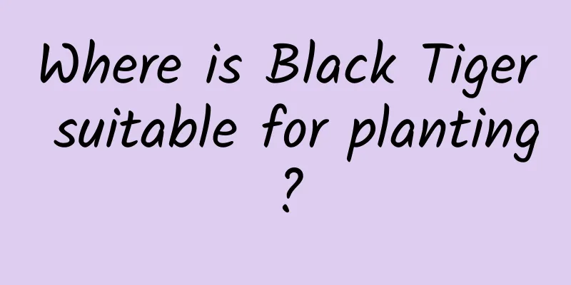 Where is Black Tiger suitable for planting?