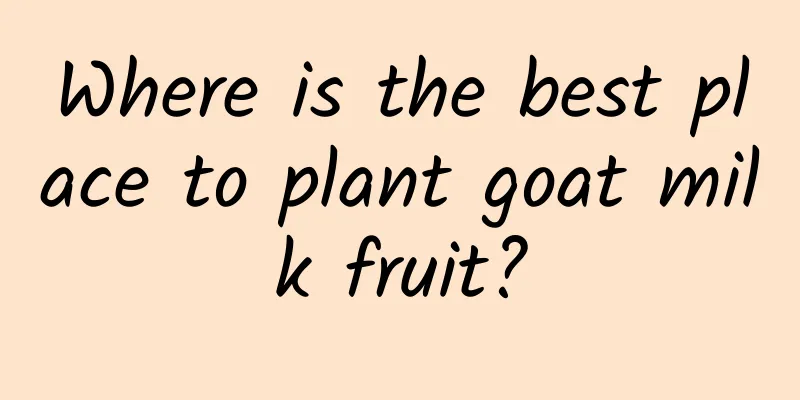 Where is the best place to plant goat milk fruit?