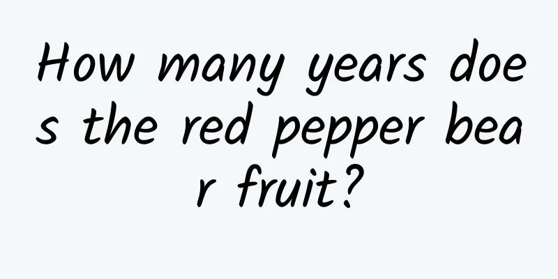 How many years does the red pepper bear fruit?