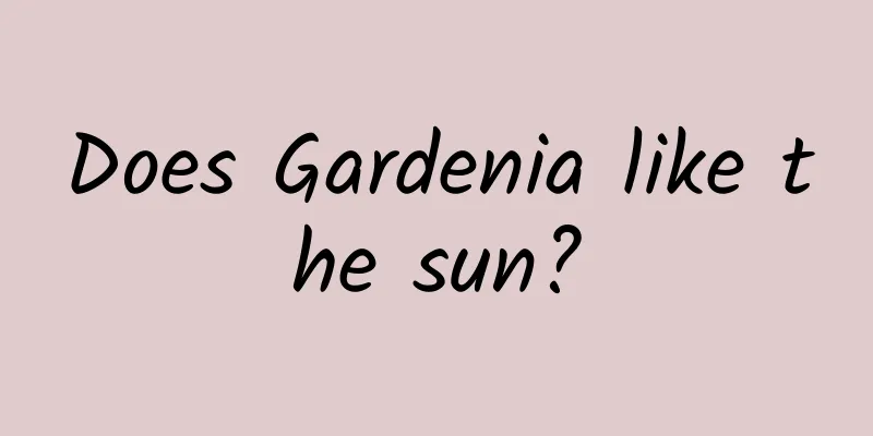 Does Gardenia like the sun?