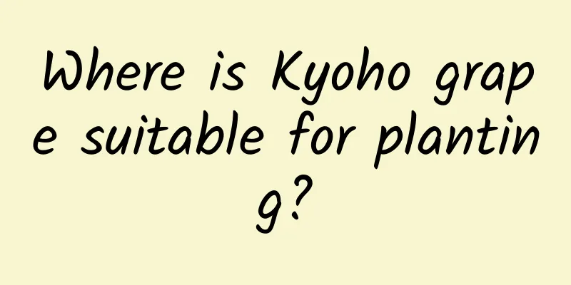 Where is Kyoho grape suitable for planting?