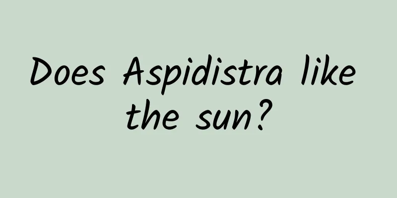 Does Aspidistra like the sun?
