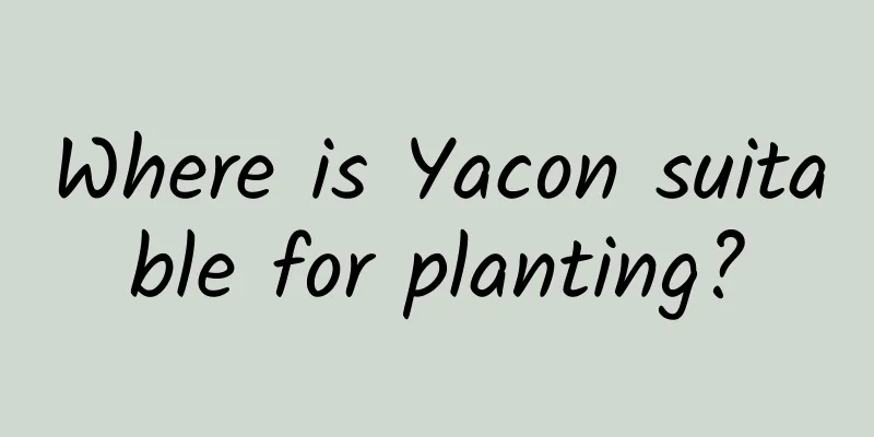 Where is Yacon suitable for planting?