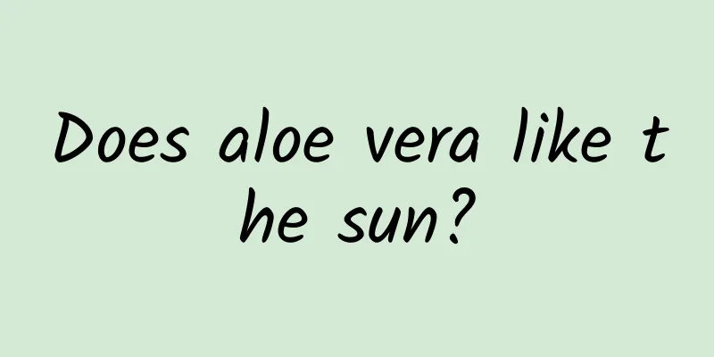 Does aloe vera like the sun?