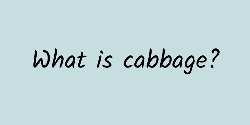 What is cabbage?