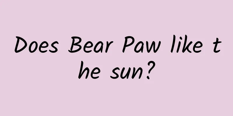 Does Bear Paw like the sun?