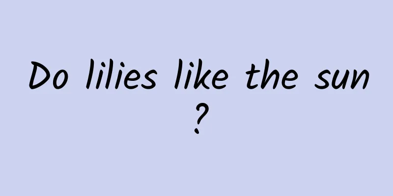 Do lilies like the sun?