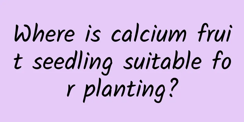 Where is calcium fruit seedling suitable for planting?