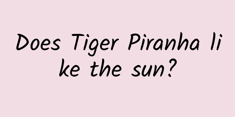 Does Tiger Piranha like the sun?