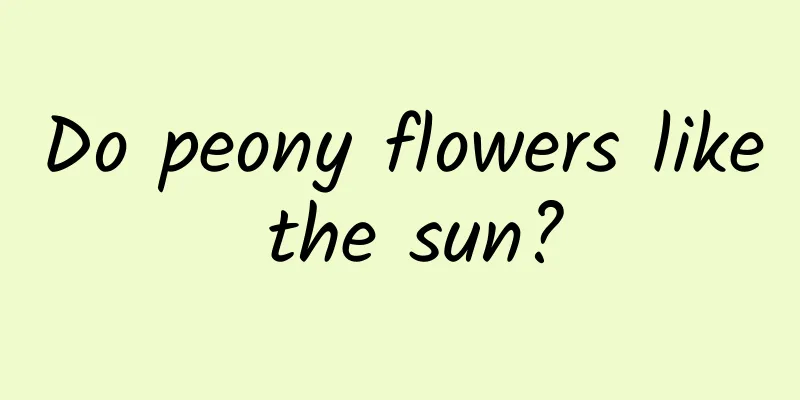 Do peony flowers like the sun?