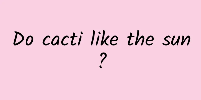 Do cacti like the sun?