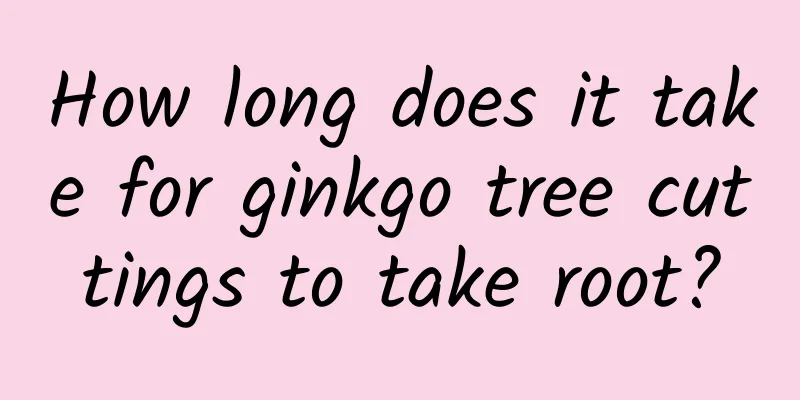 How long does it take for ginkgo tree cuttings to take root?