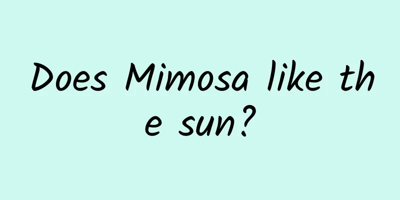 Does Mimosa like the sun?