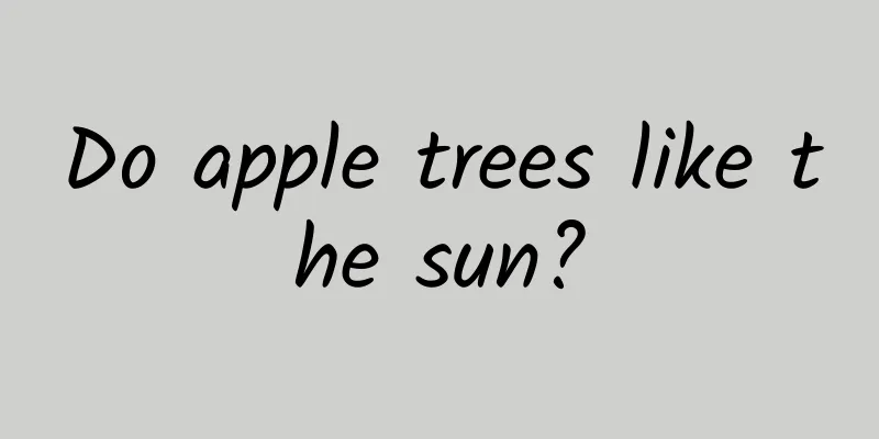 Do apple trees like the sun?