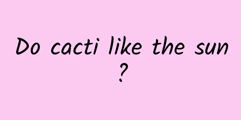 Do cacti like the sun?