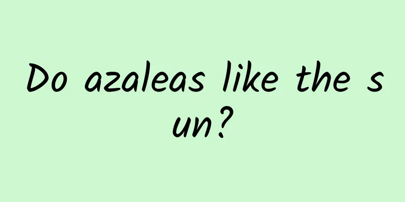 Do azaleas like the sun?
