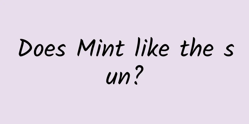 Does Mint like the sun?