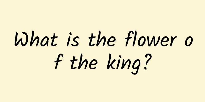 What is the flower of the king?