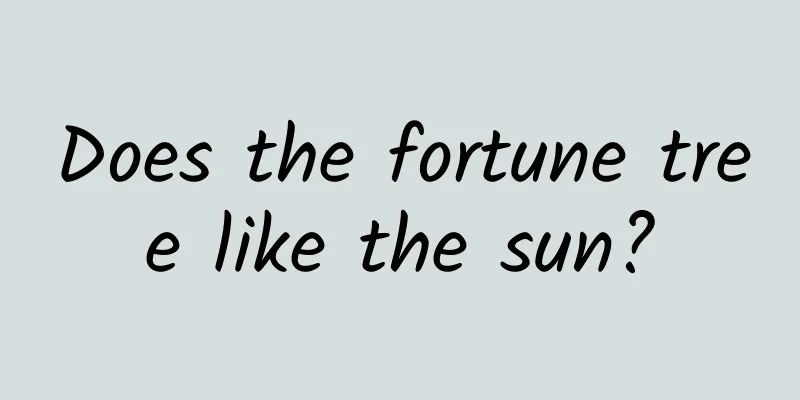 Does the fortune tree like the sun?