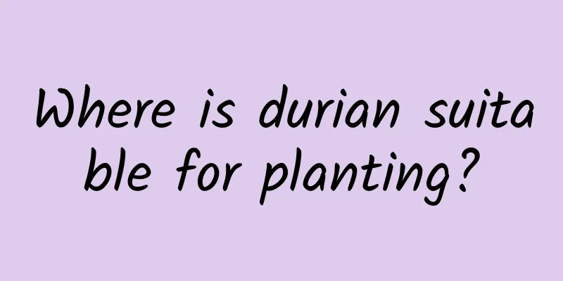 Where is durian suitable for planting?