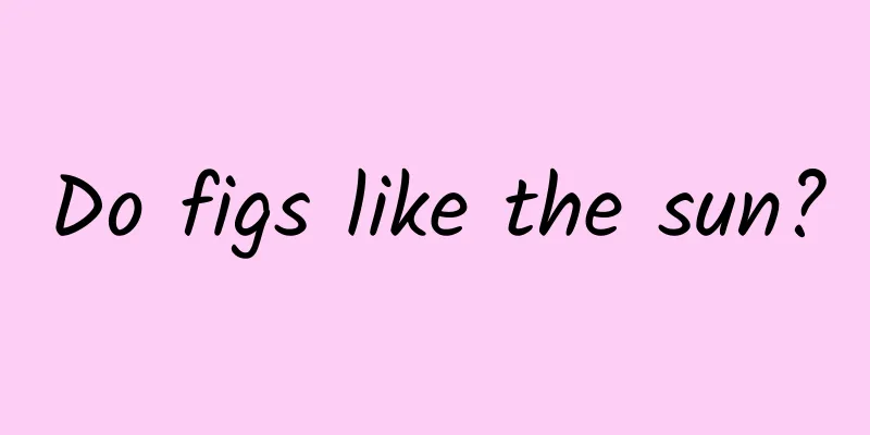 Do figs like the sun?