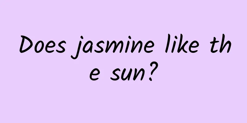 Does jasmine like the sun?