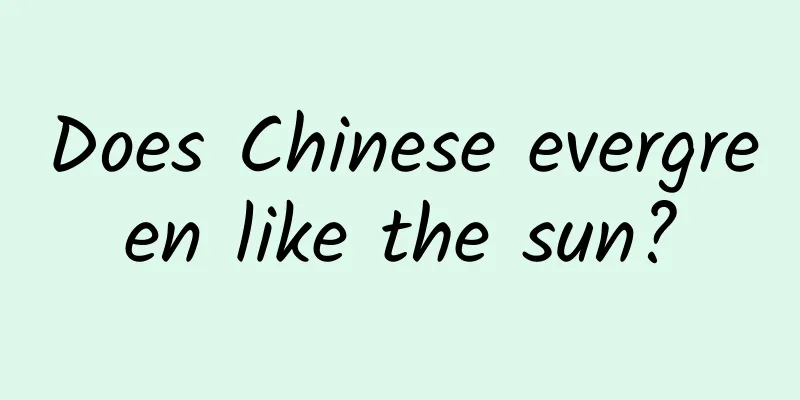 Does Chinese evergreen like the sun?