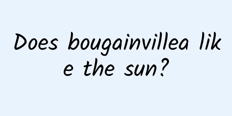 Does bougainvillea like the sun?
