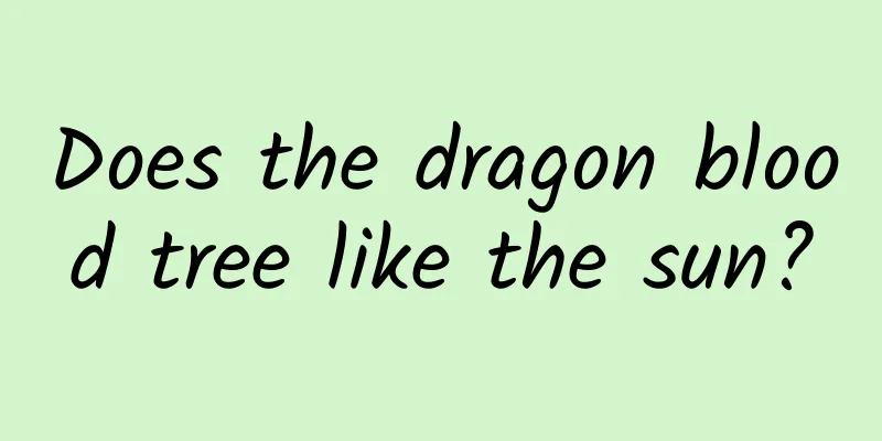 Does the dragon blood tree like the sun?